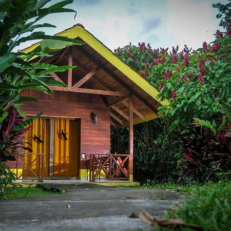 Selvita Lodge Arenal La Fortuna Zewnętrze zdjęcie