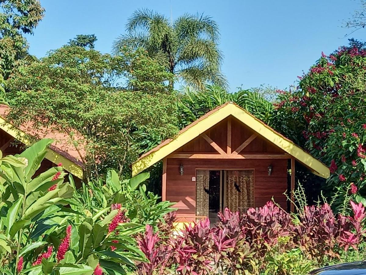 Selvita Lodge Arenal La Fortuna Zewnętrze zdjęcie