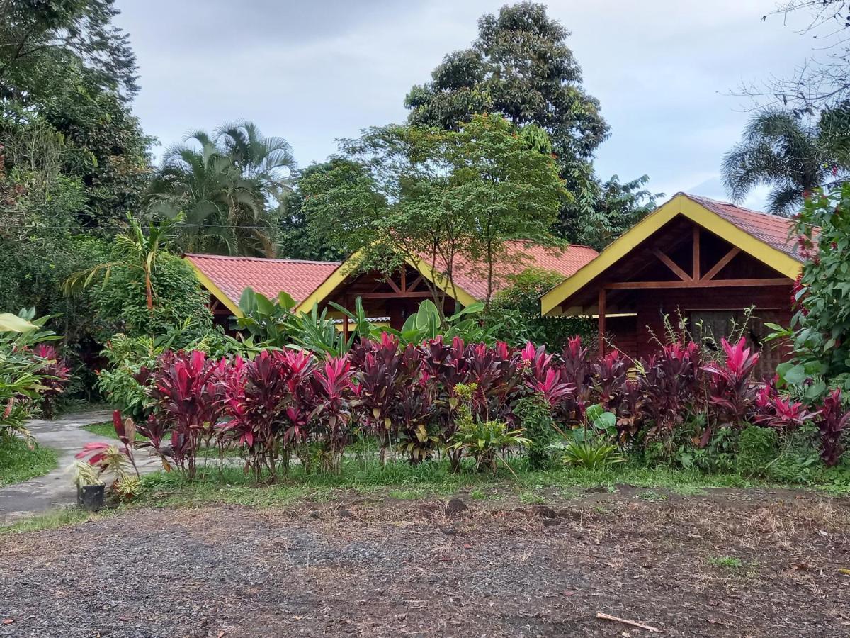 Selvita Lodge Arenal La Fortuna Zewnętrze zdjęcie