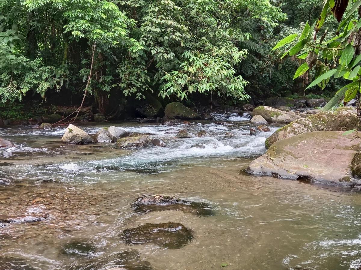Selvita Lodge Arenal La Fortuna Zewnętrze zdjęcie