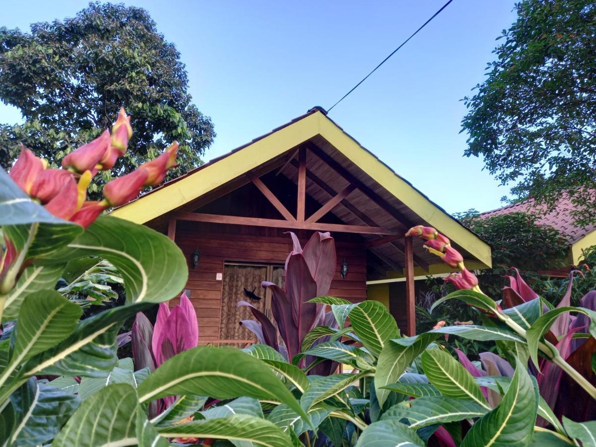 Selvita Lodge Arenal La Fortuna Zewnętrze zdjęcie
