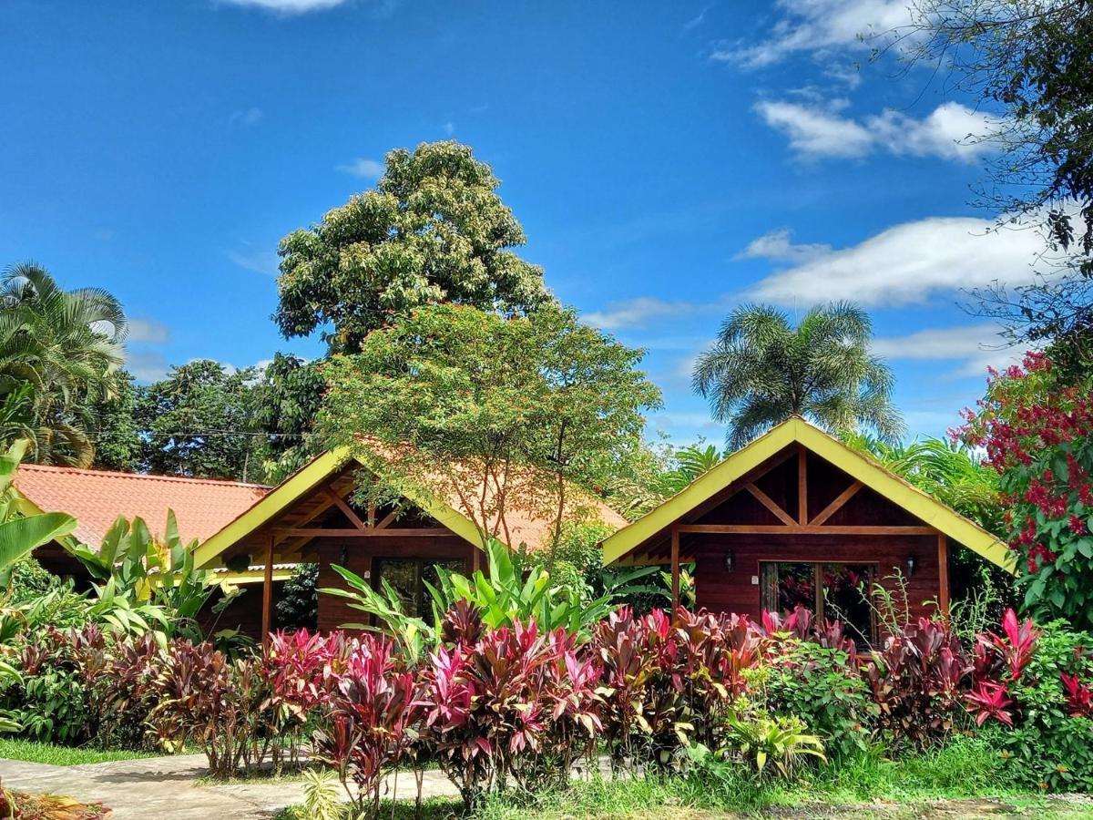 Selvita Lodge Arenal La Fortuna Zewnętrze zdjęcie